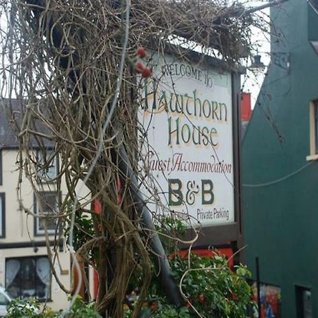 Hawthorn House Guesthouse Kenmare Bagian luar foto