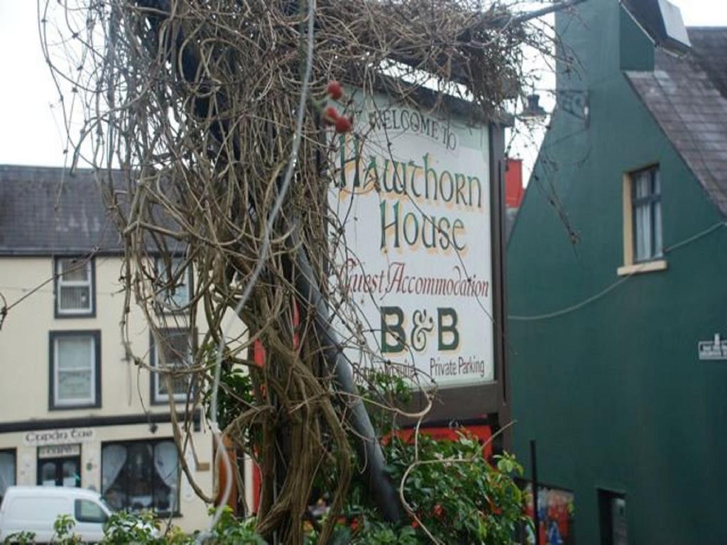 Hawthorn House Guesthouse Kenmare Bagian luar foto